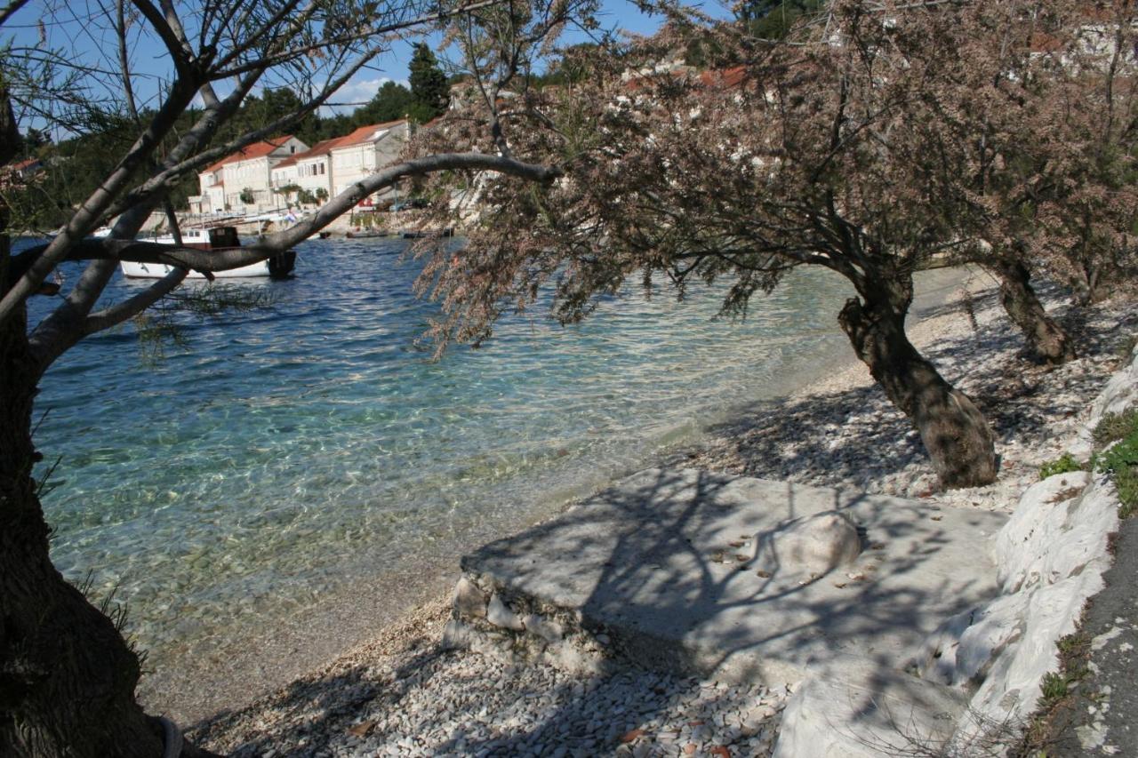 Apartments And Rooms By The Sea Racisce, Korcula - 4341 Dış mekan fotoğraf